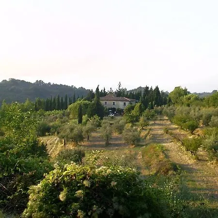 Holiday home Podere Il Cardellino Lari