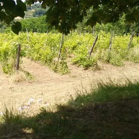Podere Il Cardellino Holiday home Lari