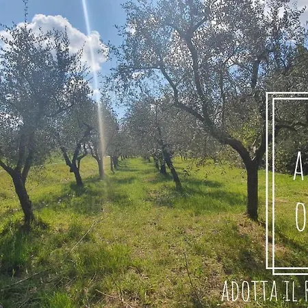 Podere Il Cardellino * Lari
