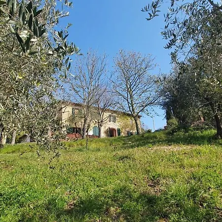 Holiday home Podere Il Cardellino