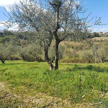 Holiday home Podere Il Cardellino *