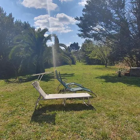 Podere Il Cardellino *