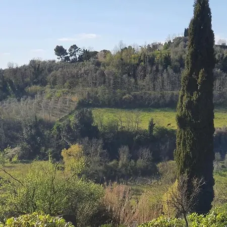 Podere Il Cardellino Holiday home *