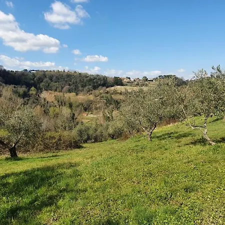 Podere Il Cardellino * Lari