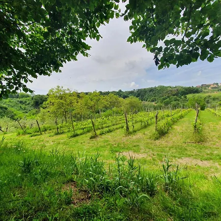 Podere Il Cardellino *