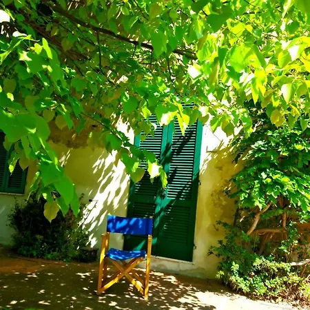Podere Il Cardellino Holiday home *